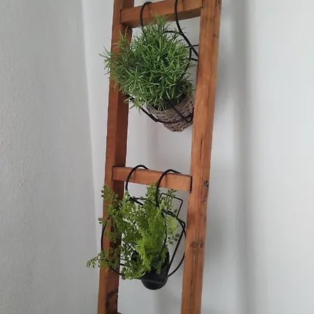 Niki Loft *