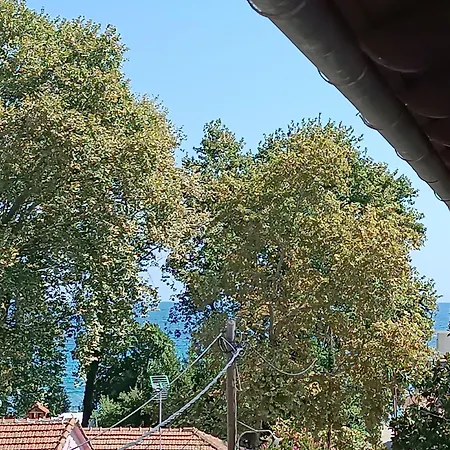 Niki Loft * Platamónasz